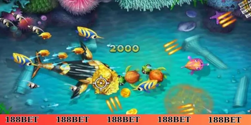 Lưu ý quan trọng khi chơi bắn cá hack full tiền